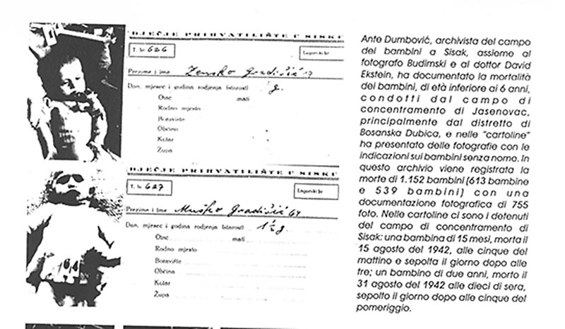 Два посмртна идентификациона картона од 1152 (613 девојчица, 539 дечака) деце млађе од 6 година, колико је службеник Анте Думбовић забележио у дечијем логору у Сиску из система логора Јасеновац. Извор: 08-18190 Counter Memorial of Serbia Volume II p. 172, према: Музеј жртава геноцида, Каталог изложбе „Били су само деца - Јасеновац гробница 19.432 девојчица и дечака“, Библиотека Министрства иностраних послова Србије