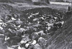 Стрељање талаца у Краљеву, октобар 1941. године Фото: Народни музеј Краљево
