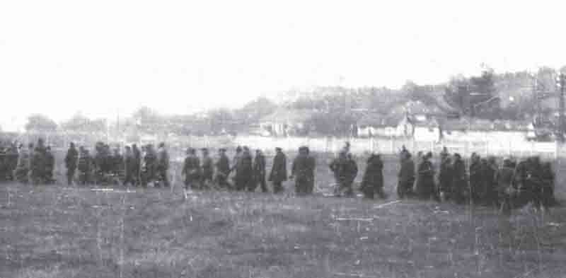 Краљево: Одвођење талаца на стрељање, 15. октобар 1941. године Фото: Народни музеј Краљево