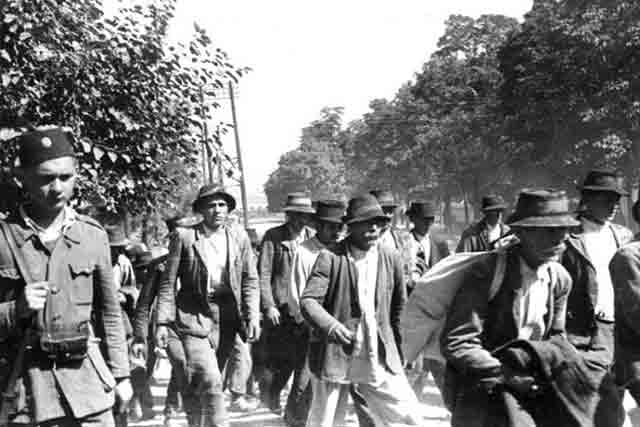 Усташка милиција води заробљене Козарчане фото: Музеј револуције Козара