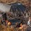 Светигора.com, 17.10.2021, Генерал италијанске војске: Лично сам видио раскопане српске гробове и разбацане кости