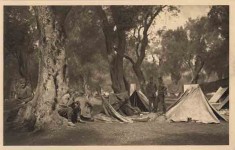 Бивак под маслинама на Крфу, 1916. године Фото: Самсон Черноф, Албум „Петогодишњи рат – Срби 1912-1916“, Лондон 1916. године.