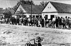 Одвођење сремских цивила у Јасеновац Фото: Архива, Архив Србије