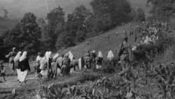 Дубица, Кнежпоље: Офанзива Западна Босна, хрватске усташе воде збег жена и деце Фото: Музеј жртава геноцида, Политика
