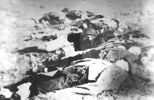 Стрељани Крагујевчани 21. октобра 1941. године Фото: Погледи