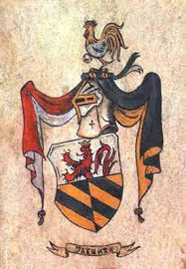 Племићки грб Јакшића од Надлака Фото: Савез Срба у Румунији, Вечерње новости Племићки грб Јакшића од Надлака Фото: Савез Срба у Румунији, Вечерње новости