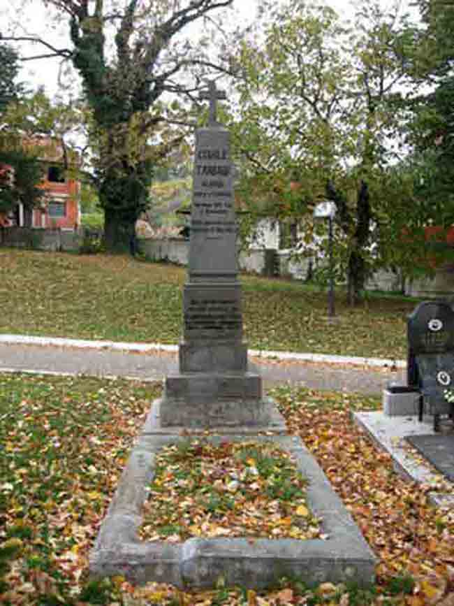 Споменик Станоју Главашу на гробљу у с. Банчина, Смедеревска Паланка  Фото: УжицеМедиа, Новка Илић