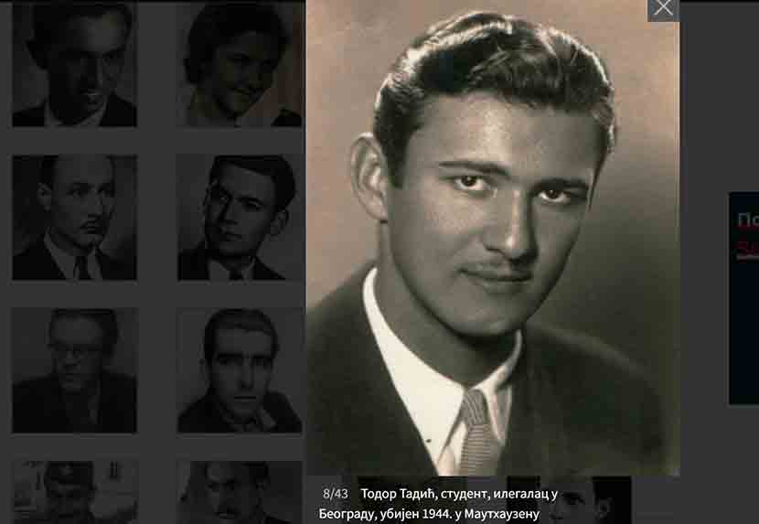 Тодор Тадић, студент, илегалац у Београду, убијен у Маутхаузену 1944. године Фото: Погледи, из колекције др Павла Милошевића