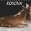 Kosovo Online, 29. 8. 2024, Црнобрња: Пошта Косова дала низ нетачних информација, још један покушај насилног креирања идентитета