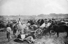 Збeг на Козари 1942. године у немачкој операцији Западна Босна Фото: Музеј револуције народа Југославије, Znaci.org