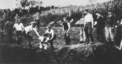 Егзекуције хрватских усташа (недалеко од Јасеновца?) Фото: Wikimedia Commons, Jеврејски историјски музеј Београд, PD